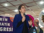 FAYSAL SARıYıLDıZ - BDP İstanbul Milletvekili Tuncel Didim'de