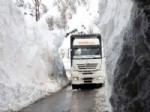 Tunceli-erzincan Karayolunda Çığ Tehlikesi Sürüyor