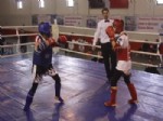 Muay Thai Karadeniz Bölge Şampiyonası Safranbolu'da Yapıldı