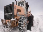 KOÇERO - Van'da Karla Mücadele Çalışmaları