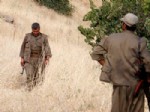 Faili Meçhul Soruşturması PKK'daki İnfazlara Uzandı