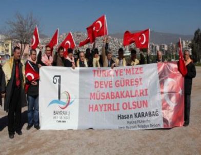 Bayraklı Deve Güreşleri İçin Hazırlanıyor