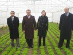 CEMAL AYKAÇ - Düzce Çiftçisinin Geliri Artıyor