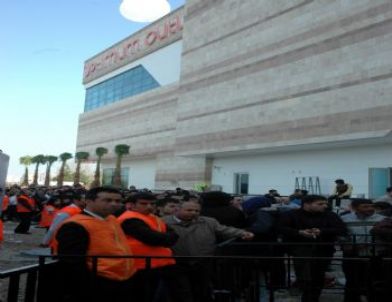 Optimum’dan Anket Skanladı