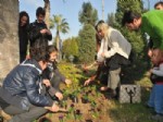 KAZANLı - Akdeniz'de Yeşillendirme Çalışmaları