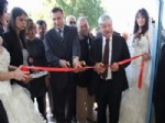 PADIŞAH - Evlilik Fuarı'nda Toplu Nikah