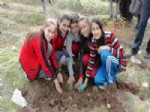 ESENKÖY - Fethiye’li Öğrencilerden Ağaçlandırmaya Destek