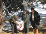 SULUCA - Tosya'da Yaban Hayvanları İçin Doğaya Yem Bırakıldı