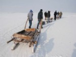 ALI ÇıNAR - Samanlar Buz Üzerinde Taşınıyor