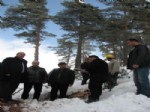 SERDAR KARTAL - Ücretsiz Kömür Dağıtımı Ormanlardaki Tahribatı Önlüyor