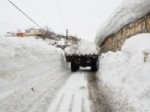 FEHMI ALAYDıN - Bitlis Belediyesi Kar Çalışmalarını Sürdürmeye Devam Ediyor