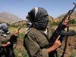 ŞERAFETTIN ELÇI - Kürt Aydınlardan, 'PKK'nın İç İnfazları' Soruşturmasına Destek