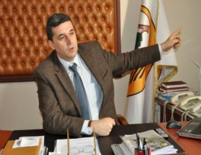 'Balıkesir'deki Fıstık Çamı Ormanları Ekonomiye Büyük Katkı Sağlayacak'