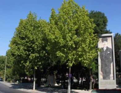 Çankaya'da Parklara Yeni Renkler Geliyor