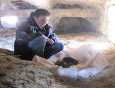 Donmak Üzere Olan 5 Yavru Köpeğe Köylüler Sahip Çıktı