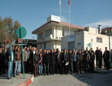 Tarsus'ta Kaçak Elektrik Avı
