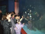 KıZıLDENIZ - Çocuk Kulübü Üyeleri 'deniz Dünyası'nı Keşfetti