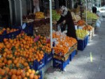 KARNABAHAR - Sebze ve Meyve Çok Ama Alan Yok