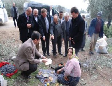 Davetsiz Misafirler Şaşırttı