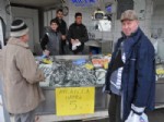 Hamsi Geri Döndü Fiyatı 5 Lira'ya Düştü