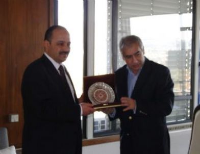 Kastamonu Üniversitesi, Ab Yolunda Sağlam Adımlarla İlerliyor