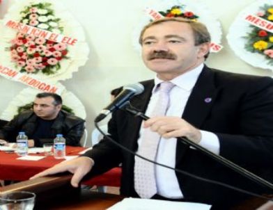 Mersin'de Kurulması Planlanan Sülfürik Asit Tesisi