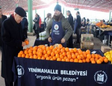 Organik Ürünler Pazarının Filesi Engellilerden