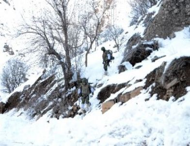 Hakkari Valiliği'nden Operasyon Açıklaması