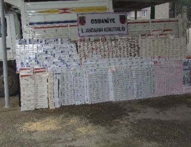 Osmaniye Jandarması Bir Yılda 282 Aranan Şahsı Yakaladı