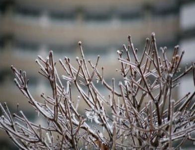 Sibirya Soğukları Romanya'da: 39 Ölü