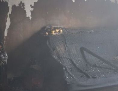 Çankırı’da Çıkan Yangında 150 Süs Civcivi Telef Oldu