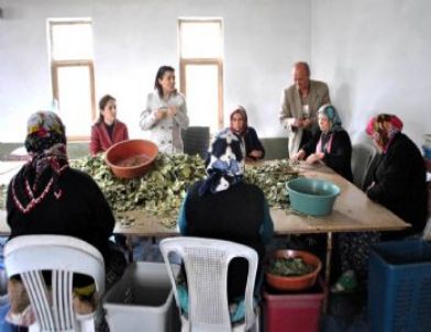 Kadın Çiftçilere Ev Ekonomisi Eğitimi