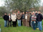 PELITKÖY - Pelitköy De Zeytin Budama Kursu