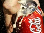 CANADA - Coca-Cola'nın formülü değişti mi?