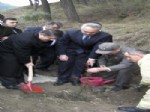 NECMETTIN YALıNALP - Tanrıverdi Ağaç Dikim Törenine Katıldı