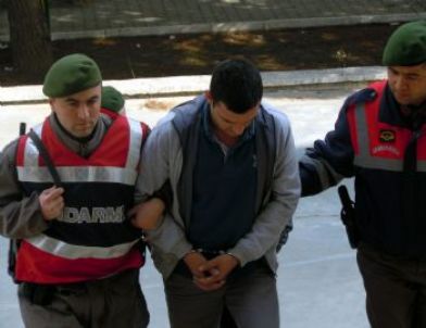 Koyun Hırsızları Jandarmadan Kaçamadı