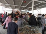CEVAT UYANıK - Öğrenciler Çanakkale Çadırını Gezdi