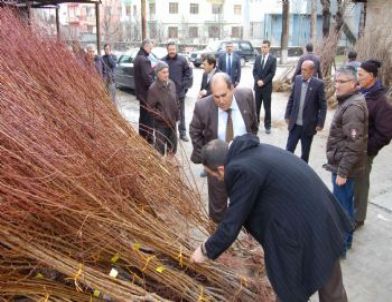 'Üretici Dostu Kaymakam'dan Simavlı Çiftçiye Sertifikalı Fidan Desteği