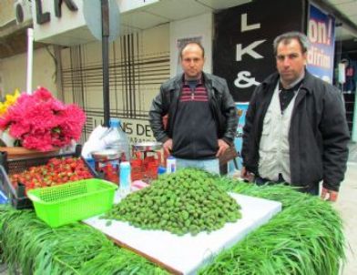 Çağla Badem Tezgahlarda Yerini Aldı