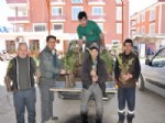 Orman Şefliğinden Ağaçlandırma Atağı