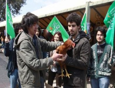 Üniversitede Horozlu Eylem