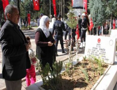 Minik Ayhan Adını Aldığı Şehit Amcasının Kabrini Ziyaret Etti