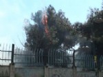 KAZLıÇEŞME - Nevruzu Bahane Eden Grup, Cam Ağaçlarını Ateşe Verdi
