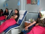 Ülkü Ocakları Bayanlar Teşkilatından Kızılay'a Kan Bağışı