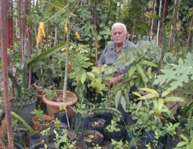 Alanya ve Gazipaşa'da Tropikal Meyveler Yetiştirilecek