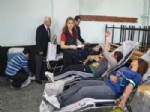 MEHMET GÜNAYDıN - Alaplı MYO’dan Kan Bağışı Kampanyası