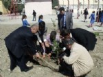 OSMAN GÜNGÖR - Beymelek Belediyesi Okul Bahçesine Fidan Dikti