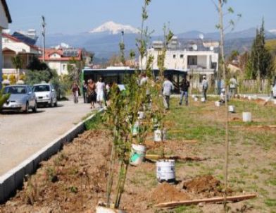 Fethiye Belediyesi Kadın Meclisi Üyeleri Ağaç Dikti