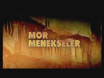Mor Menekşeler 21. Bölüm Özeti Ve Fragmanı