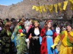 Çukurca'da Nevruz Kutlamaları Sona Erdi